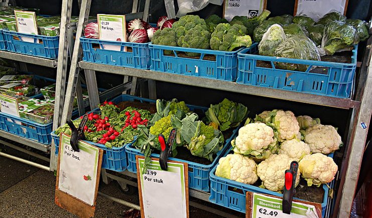 水果塑料周轉(zhuǎn)箱筐批發(fā),快到筐里來!