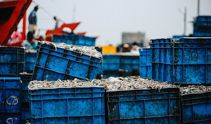 藍色塑料周轉箱哪里買?買個好周轉箱也太難了