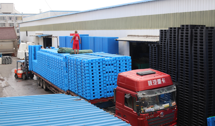 塑料托盤廠家閃現(xiàn),寵你沒商量~