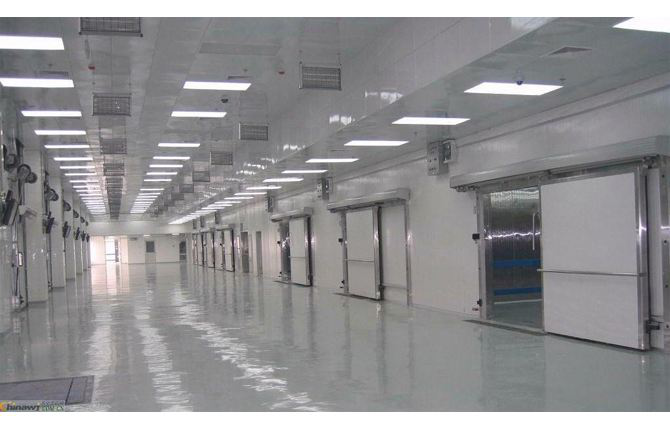 這款塑料托盤打入“冷宮”，也能混的如魚得水？